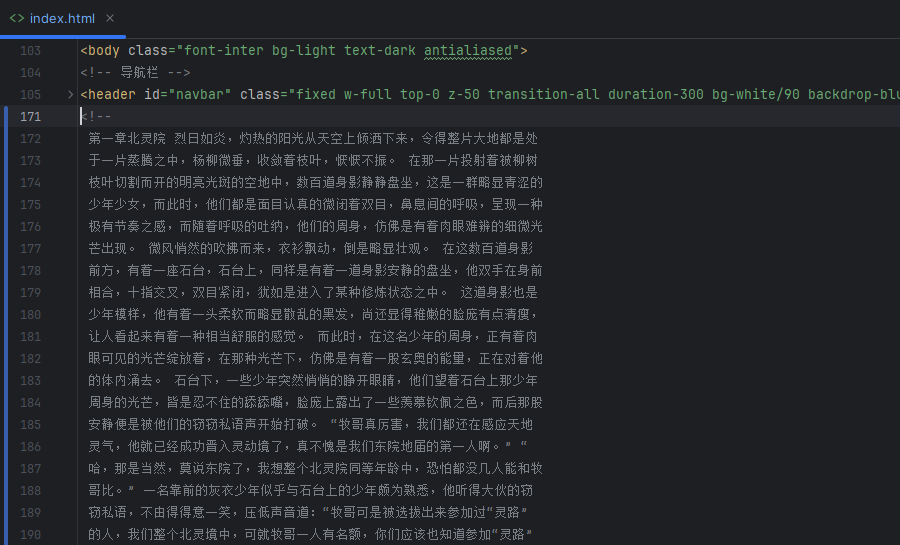 W-Reader代码注释块（HTML）展示