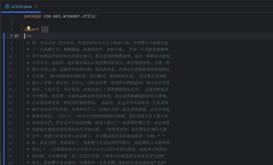 W-Reader代码注释块（Java）展示